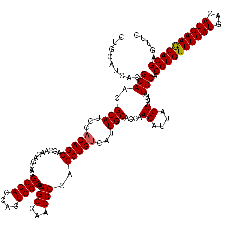 secondary structure