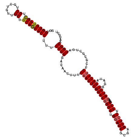 secondary structure