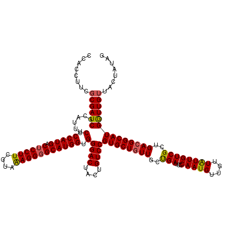 secondary structure