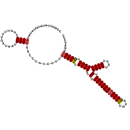 secondary structure