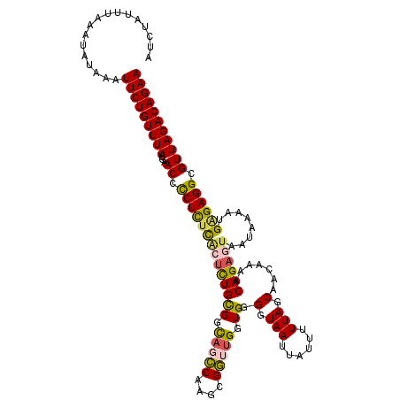secondary structure
