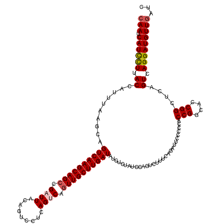 secondary structure
