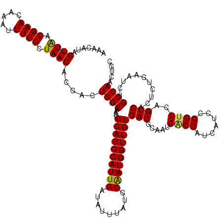 secondary structure