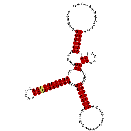 secondary structure