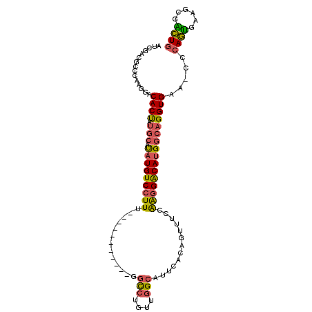 secondary structure