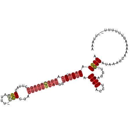 secondary structure