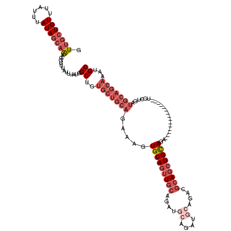 secondary structure