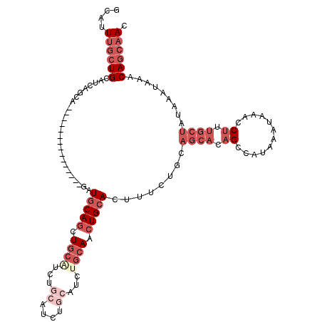 secondary structure