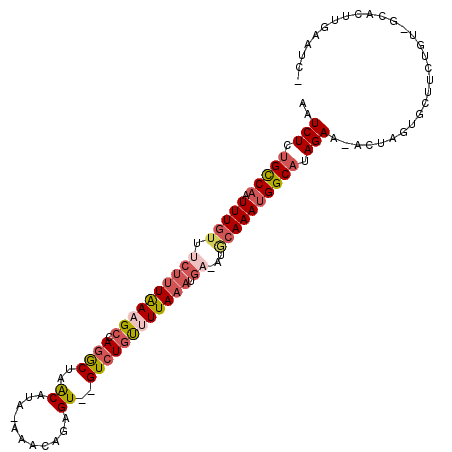 secondary structure