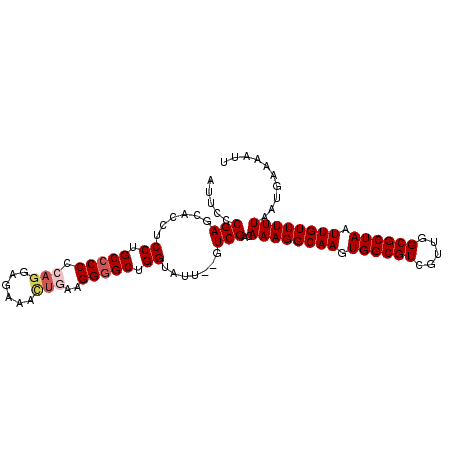secondary structure