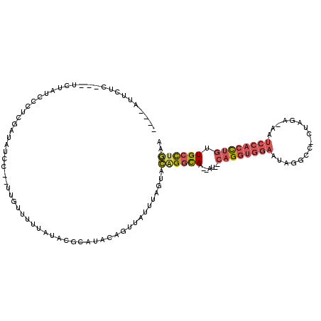 secondary structure