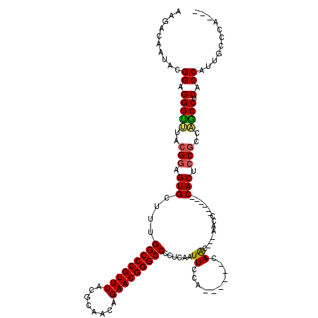 secondary structure