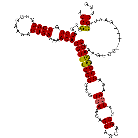 secondary structure
