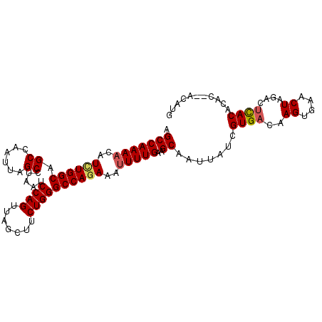 secondary structure