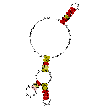 secondary structure