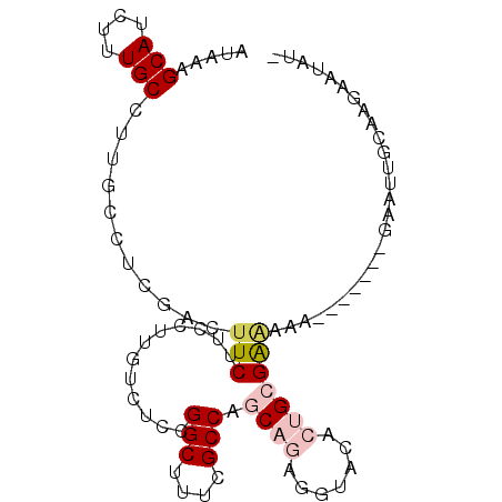 secondary structure