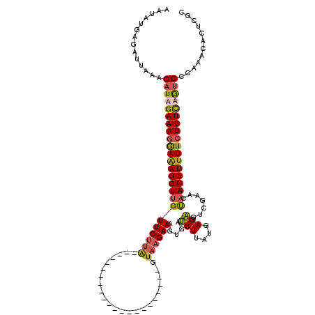 secondary structure
