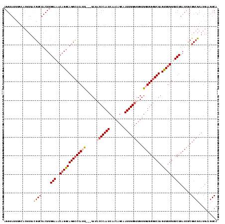 dotplot