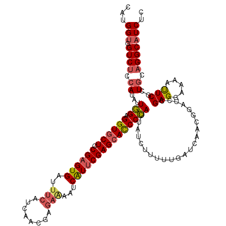 secondary structure