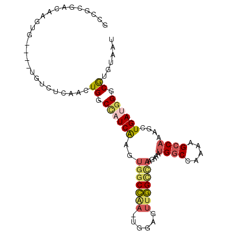 secondary structure