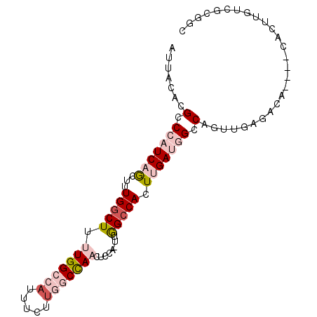 secondary structure