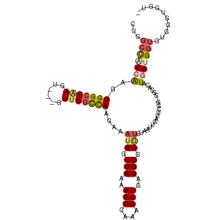 secondary structure