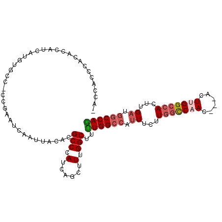 secondary structure