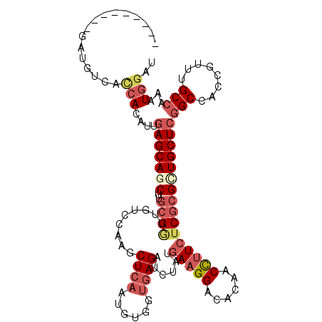 secondary structure