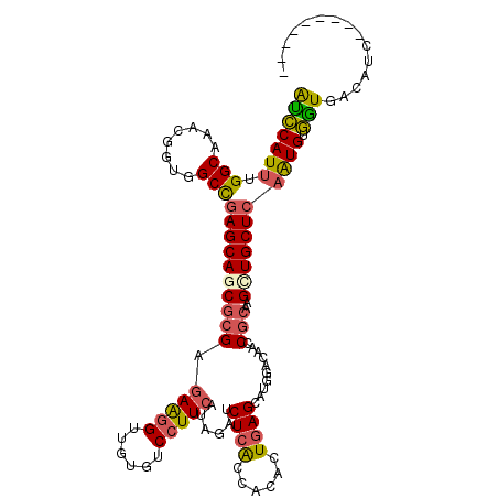 secondary structure