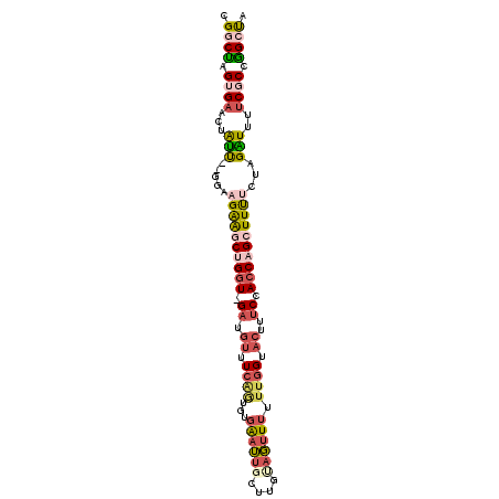 secondary structure