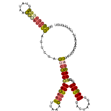 secondary structure