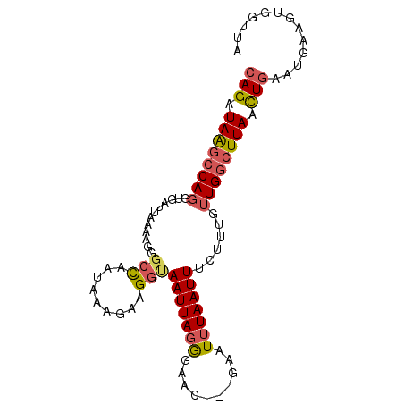 secondary structure