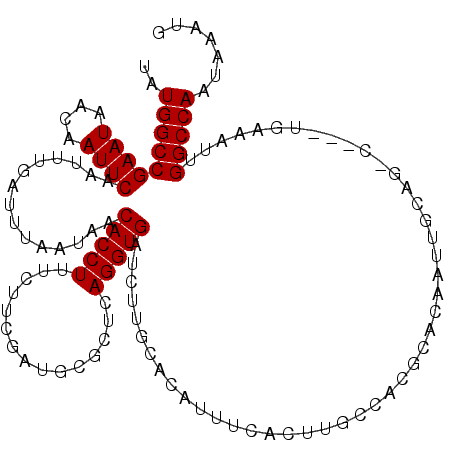secondary structure
