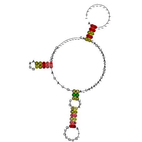 secondary structure