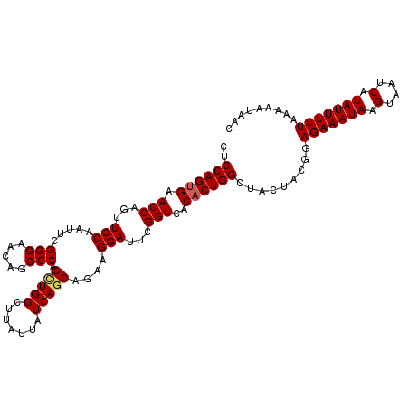 secondary structure
