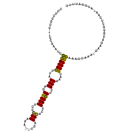 secondary structure