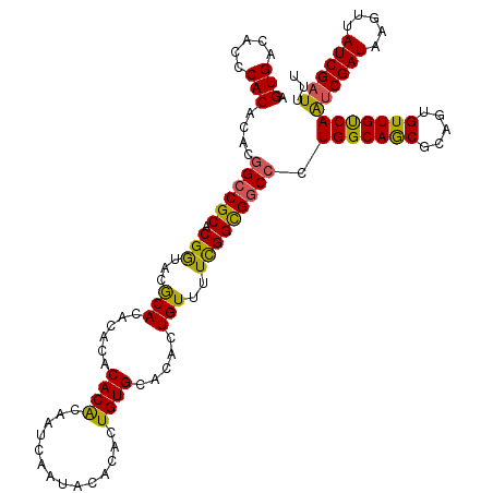secondary structure
