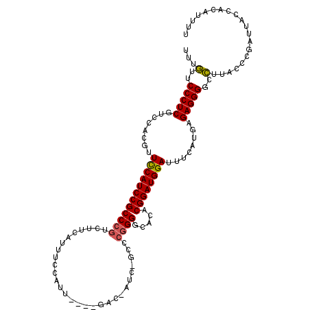 secondary structure