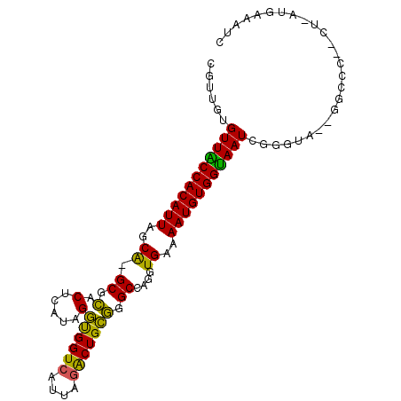 secondary structure