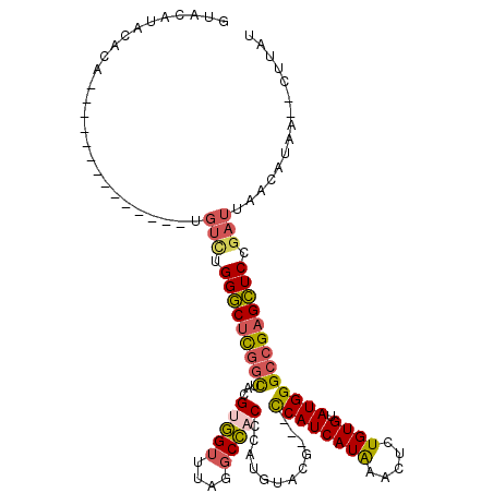 secondary structure