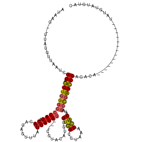 secondary structure