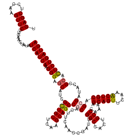 secondary structure