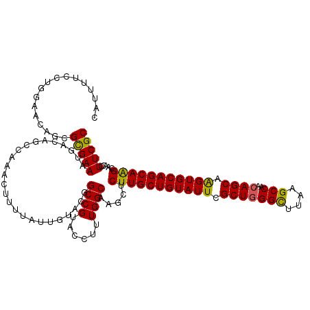 secondary structure