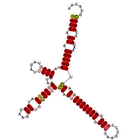secondary structure