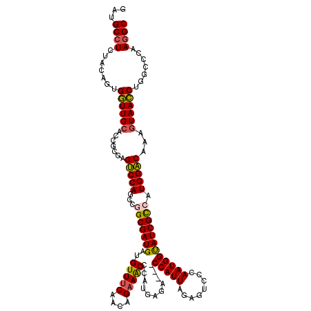secondary structure