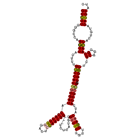 secondary structure