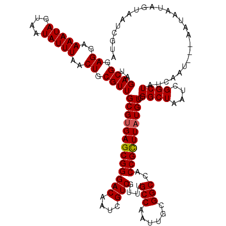secondary structure