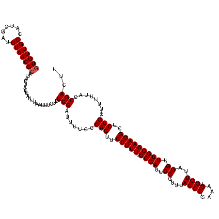 secondary structure
