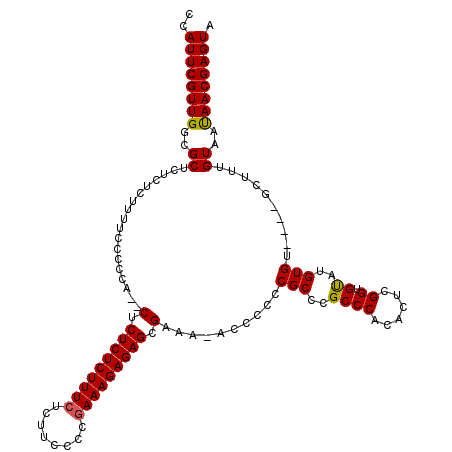 secondary structure