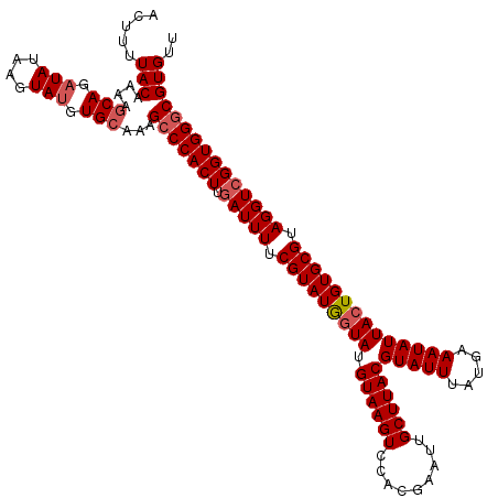 secondary structure